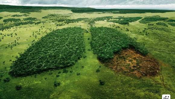 ICV alerta que l’acord de París sobre el clima només tindrà efectes si continua la pressió sobre als estats