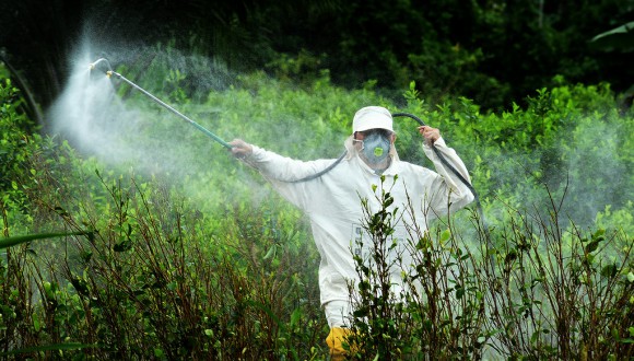 Un nou estudi demostra la ineficàcia de l’agricultura intensiva i identifica alternatives al glifosat