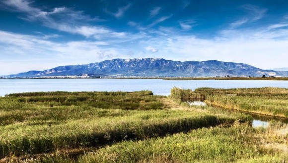 Portem al Parlament Europeu la gestió dels sediments dels pantans a la conca de l’Ebre