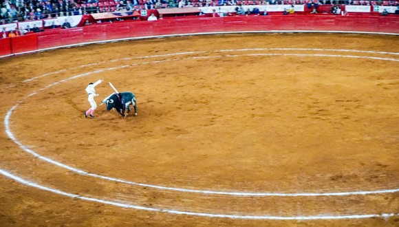 Opposition to the classification of Bullfighting as Intangible Cultural Heritage in Need of Urgent Safeguarding