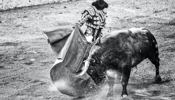 Demanem no destinar fons de la PAC a les corregudes de bous