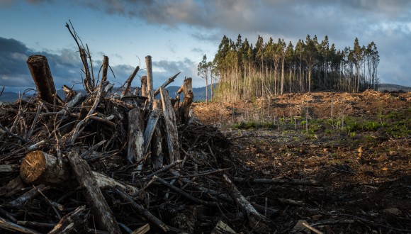 El Parlament Europeu demana acció urgent contra el canvi climàtic